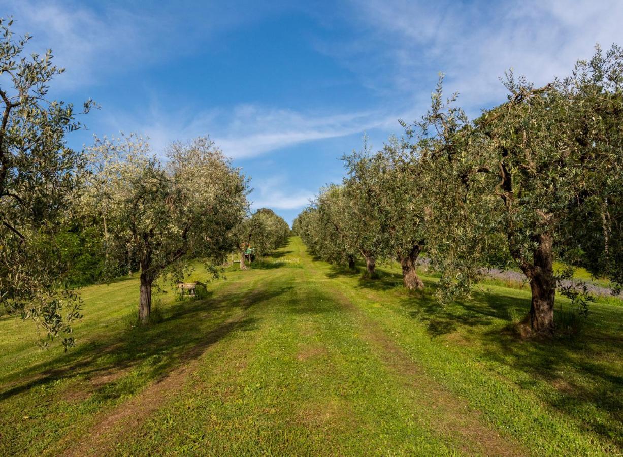 Podere Sant'Antonio Fauglia Exterior photo